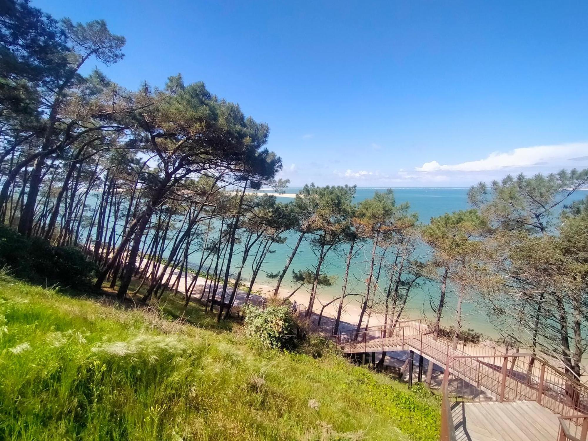Gite Avec Piscine Et Espace Bien-Etre Partages Entre Bordeaux Et Lacanau Ocean (Adults Only) Brach Dış mekan fotoğraf
